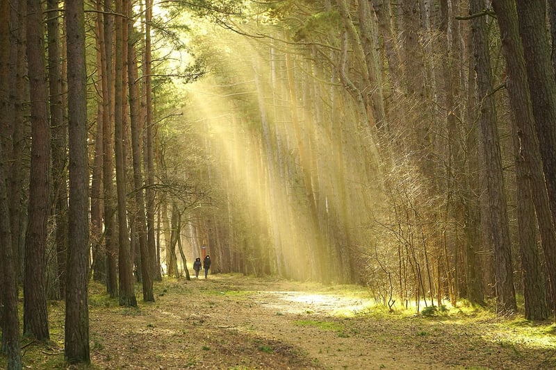 Walking in nature